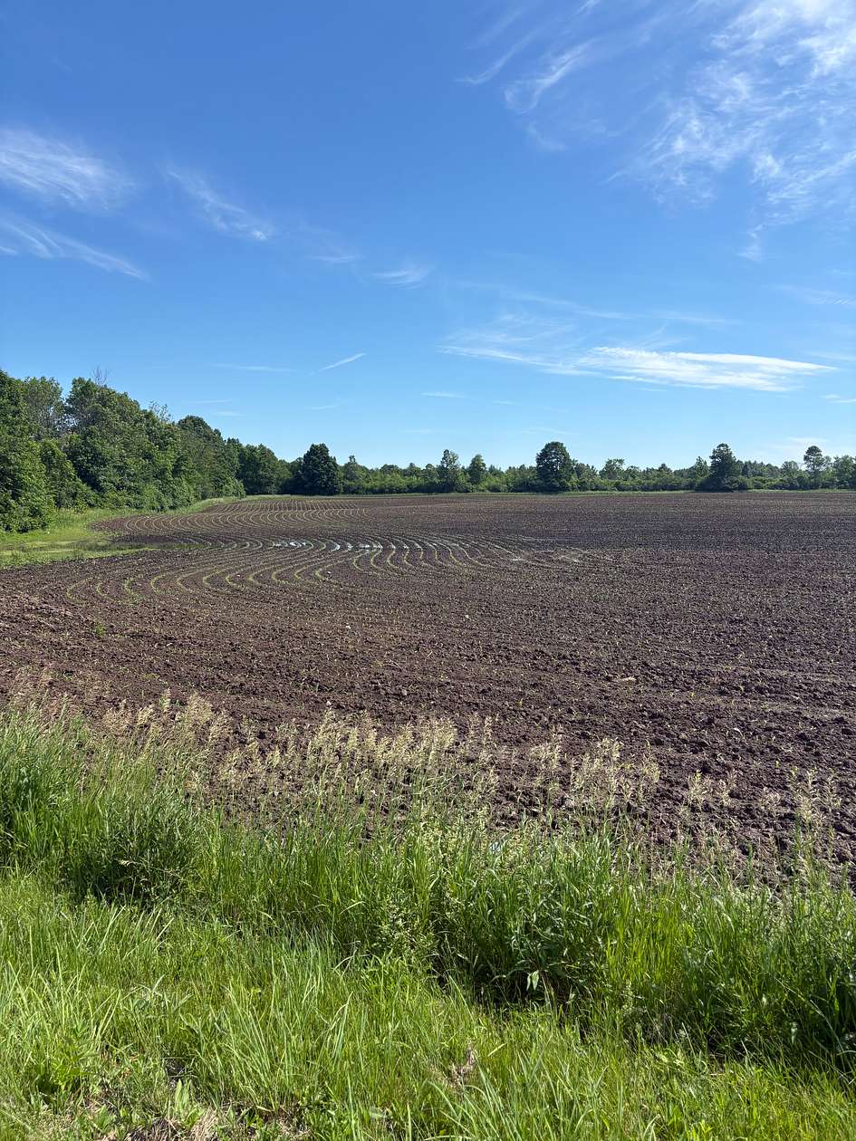 50 Acres of Land for Sale in Chaumont, New York