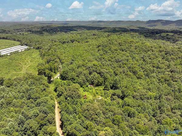12.6 Acres of Recreational & Residential Land for Sale in Attalla, Alabama