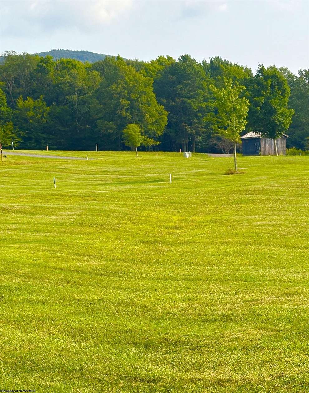 Residential Land for Sale in Davis, West Virginia