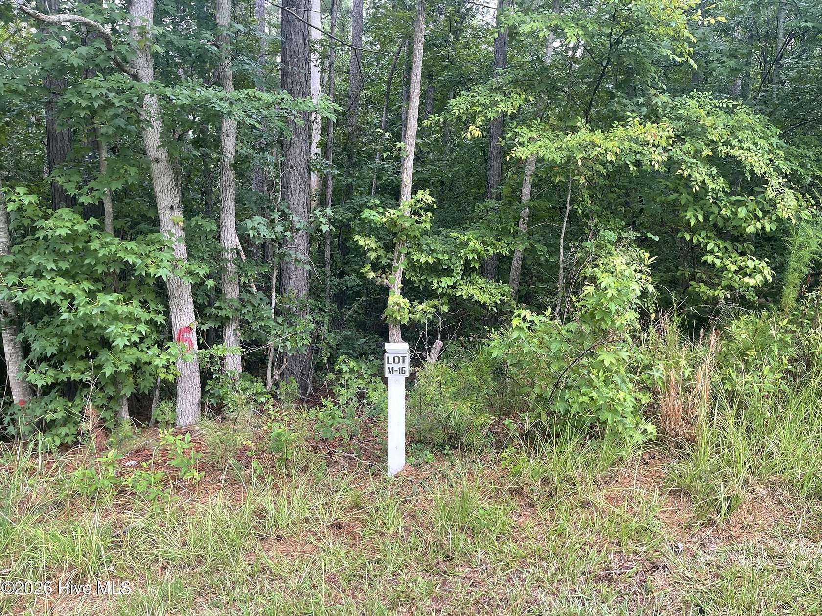 0.74 Acres of Residential Land for Sale in North Augusta, South Carolina