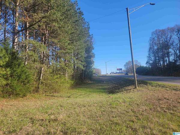 3 Acres of Land for Sale in Roanoke, Alabama