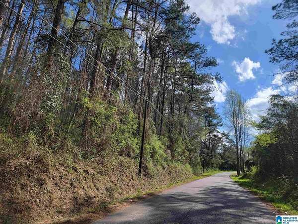 6.27 Acres of Land for Sale in Roanoke, Alabama