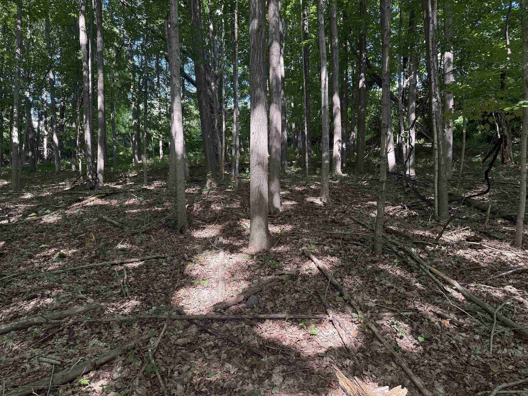 4.5 Acres of Residential Land for Sale in Middlebury, Vermont