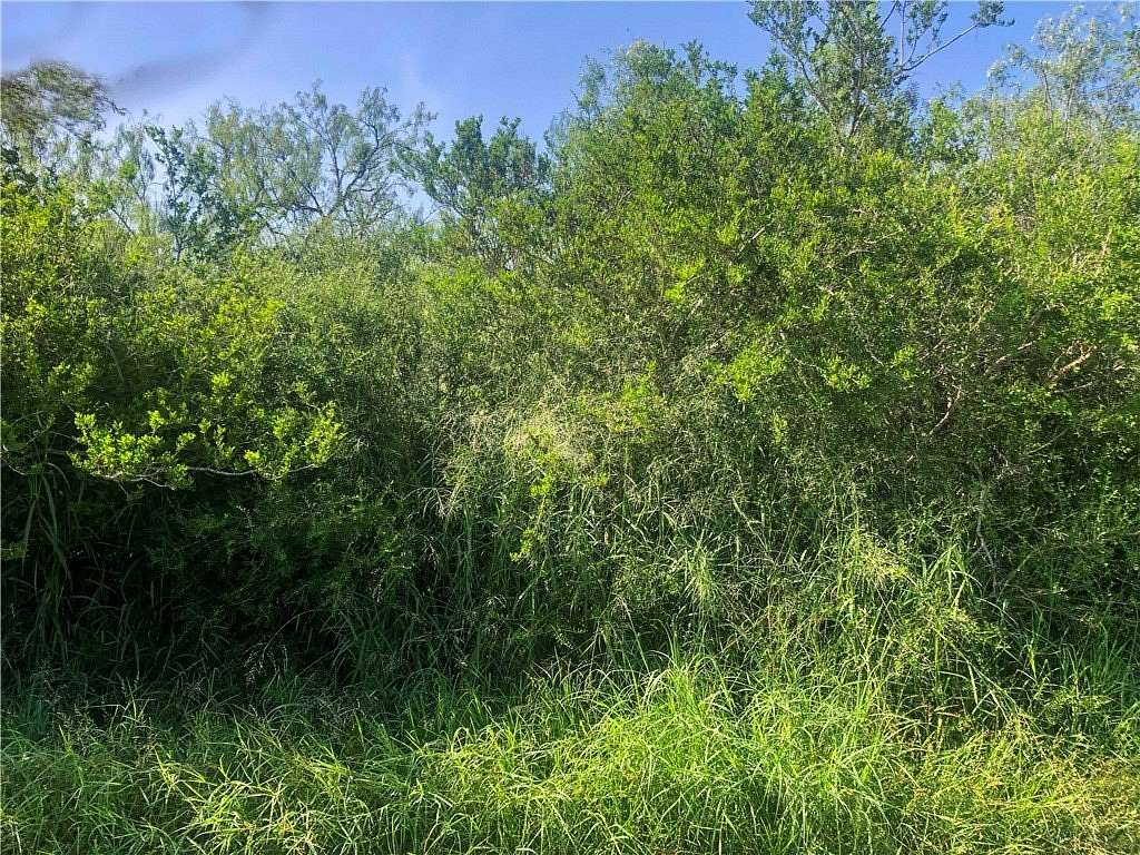 1 Acre of Residential Land for Sale in Skidmore, Texas