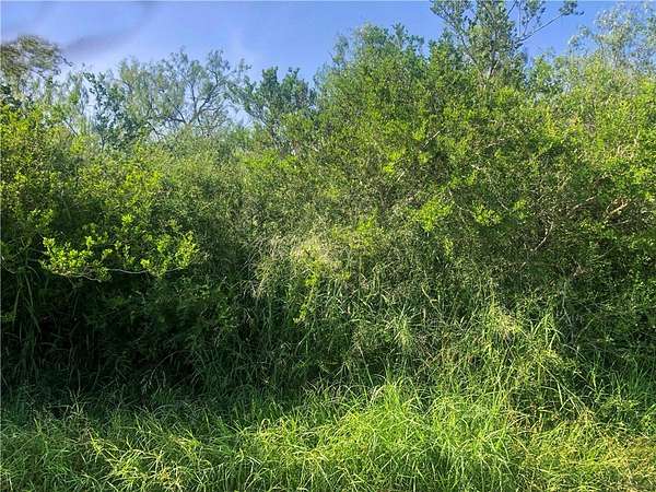 1 Acre of Residential Land for Sale in Skidmore, Texas