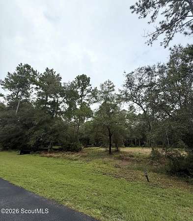 0.57 Acres of Residential Land for Sale in Townsend, Georgia