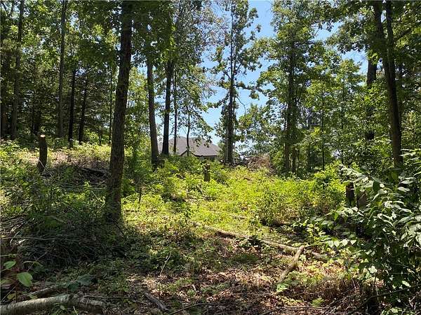 0.29 Acres of Residential Land for Sale in Bella Vista, Arkansas