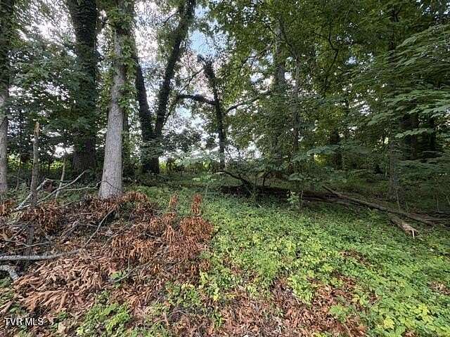 1.23 Acres of Residential Land for Sale in Jonesborough, Tennessee