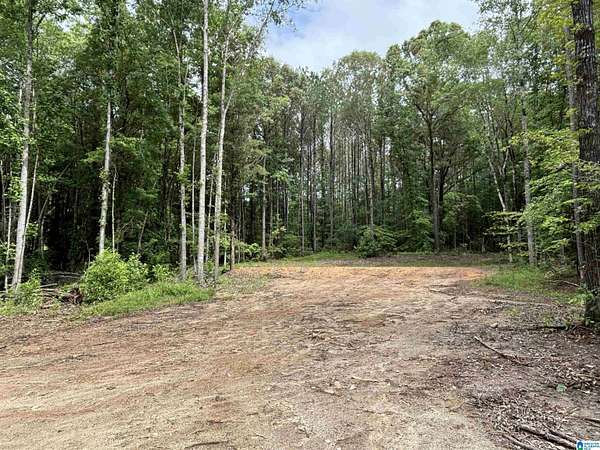 2 Acres of Residential Land for Sale in Wedowee, Alabama