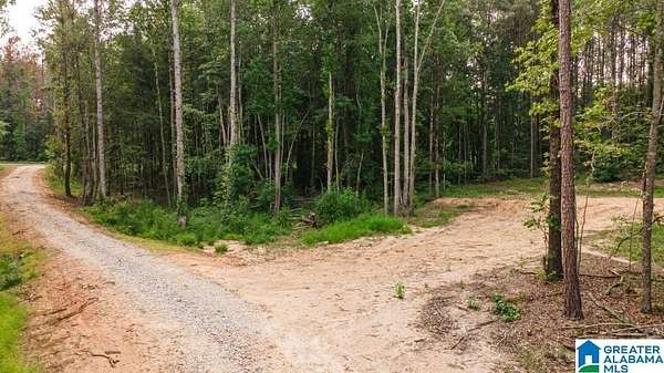 2 Acres of Residential Land for Sale in Wedowee, Alabama