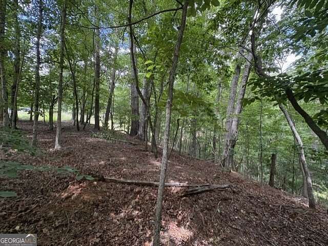 0.8 Acres of Land for Sale in Dahlonega, Georgia