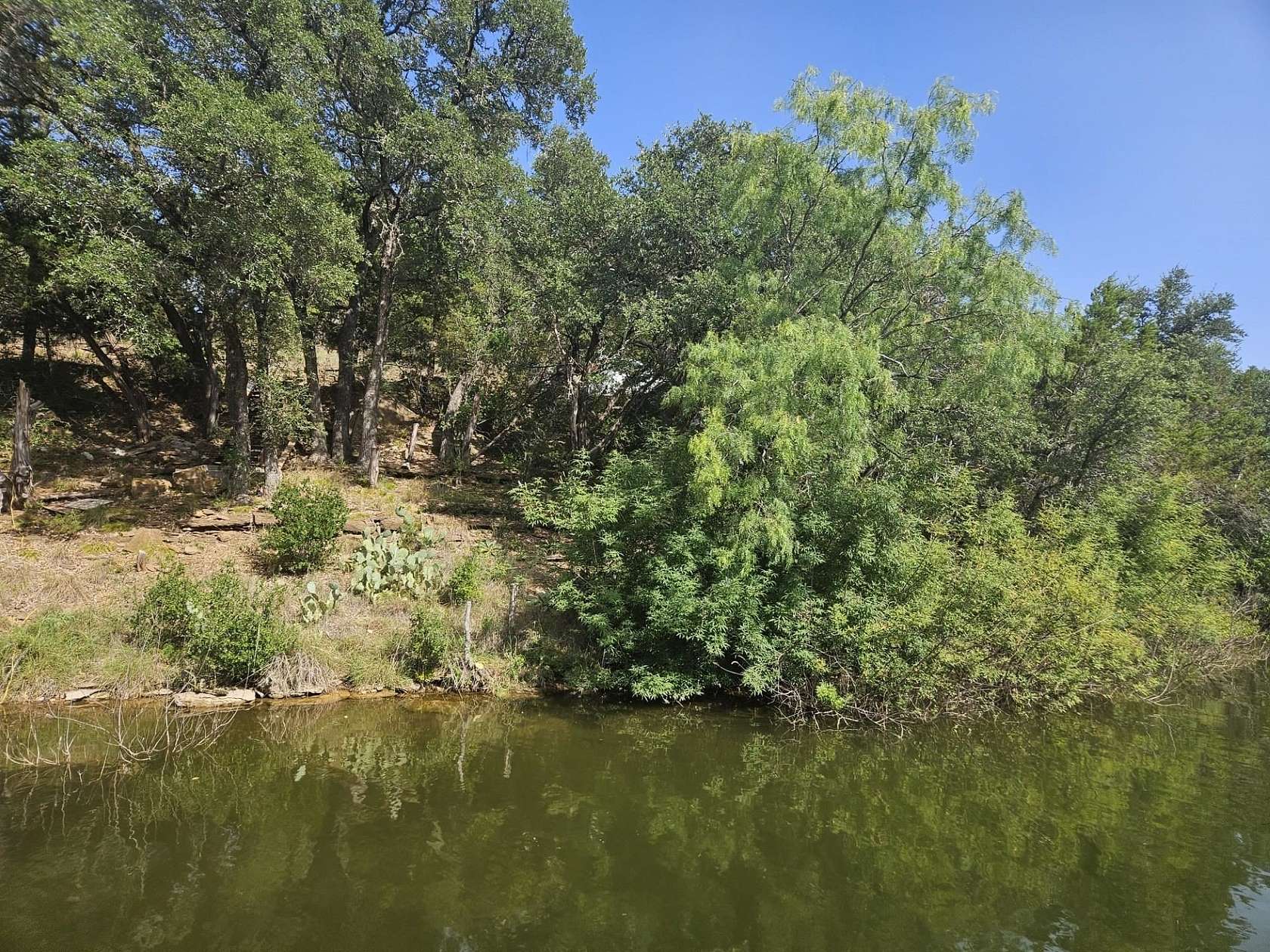 Land for Sale in Burnet, Texas