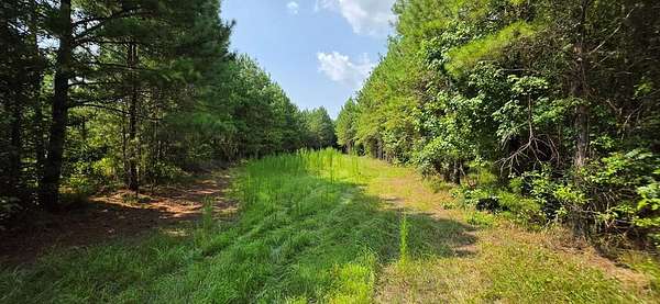 22.7 Acres of Land for Sale in Cottonwood, Alabama