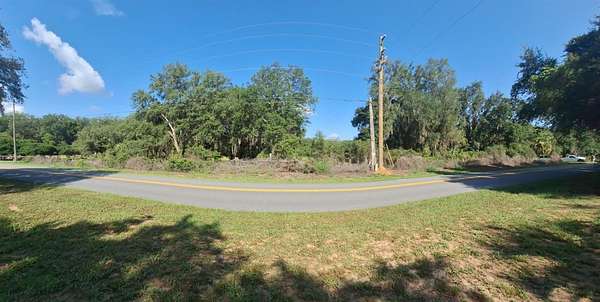 9.84 Acres of Residential Land for Sale in Umatilla, Florida