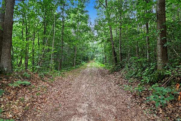 27.3 Acres of Recreational Land for Sale in Fountain, Michigan