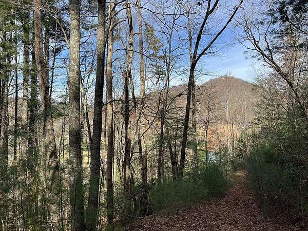 10 Acres of Land for Sale in Hayesville, North Carolina