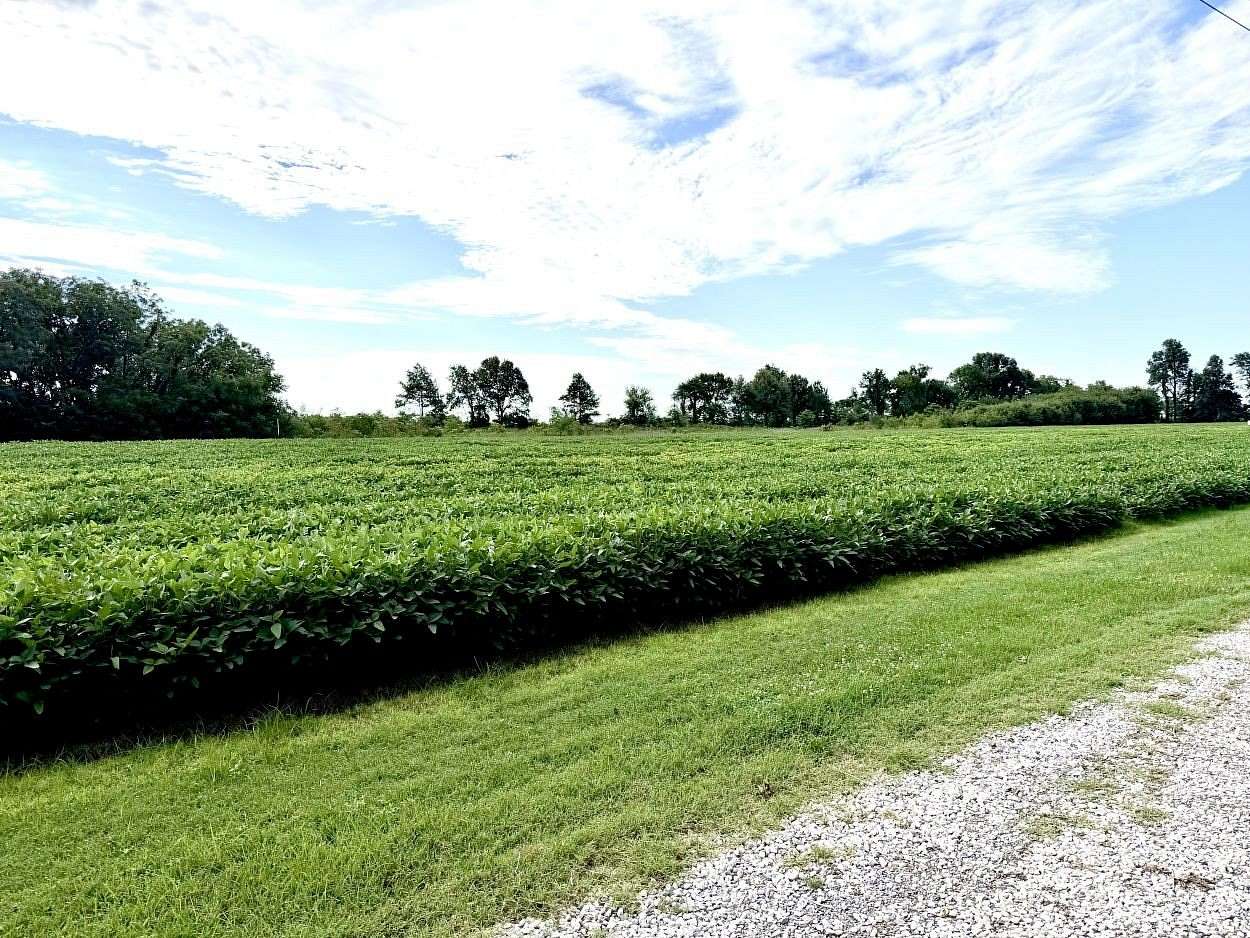 4 Acres of Residential Land for Sale in East Prairie, Missouri
