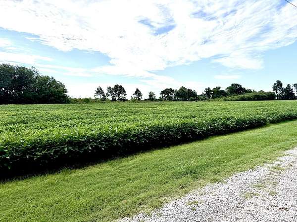 4 Acres of Residential Land for Sale in East Prairie, Missouri