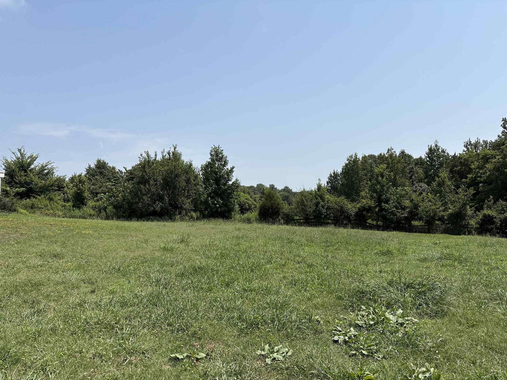 59.3 Acres of Agricultural & Residential Land for Sale in Ripley, Tennessee