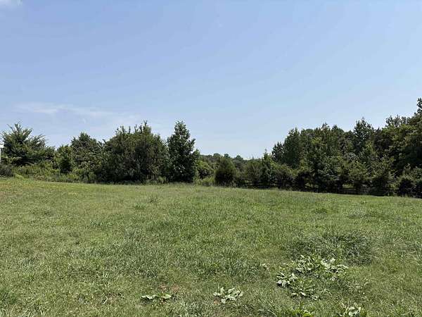 59.3 Acres of Agricultural & Residential Land for Sale in Ripley, Tennessee