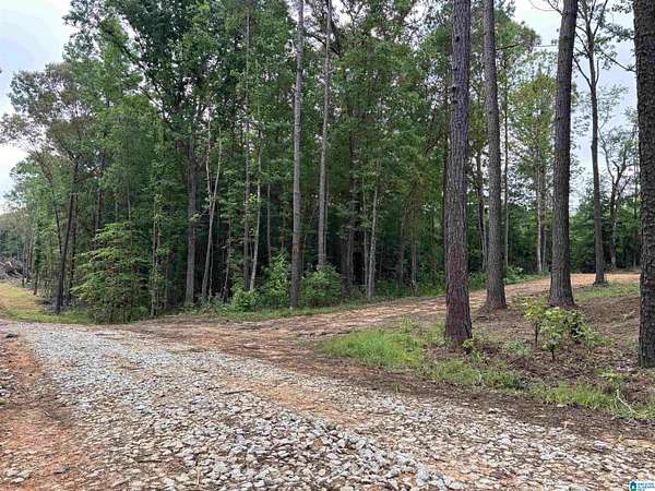 2 Acres of Residential Land for Sale in Wedowee, Alabama