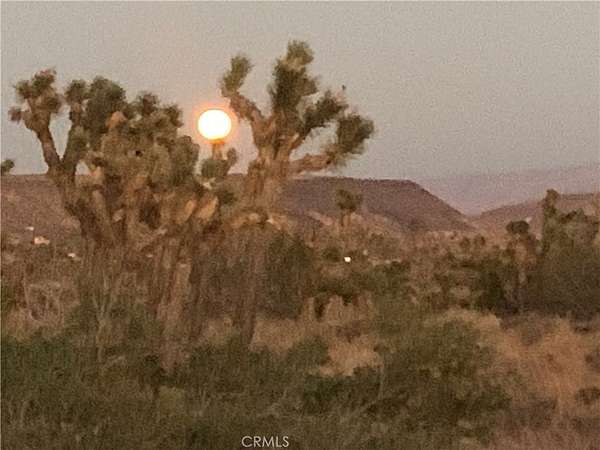 40 Acres of Land for Sale in Pioneertown, California