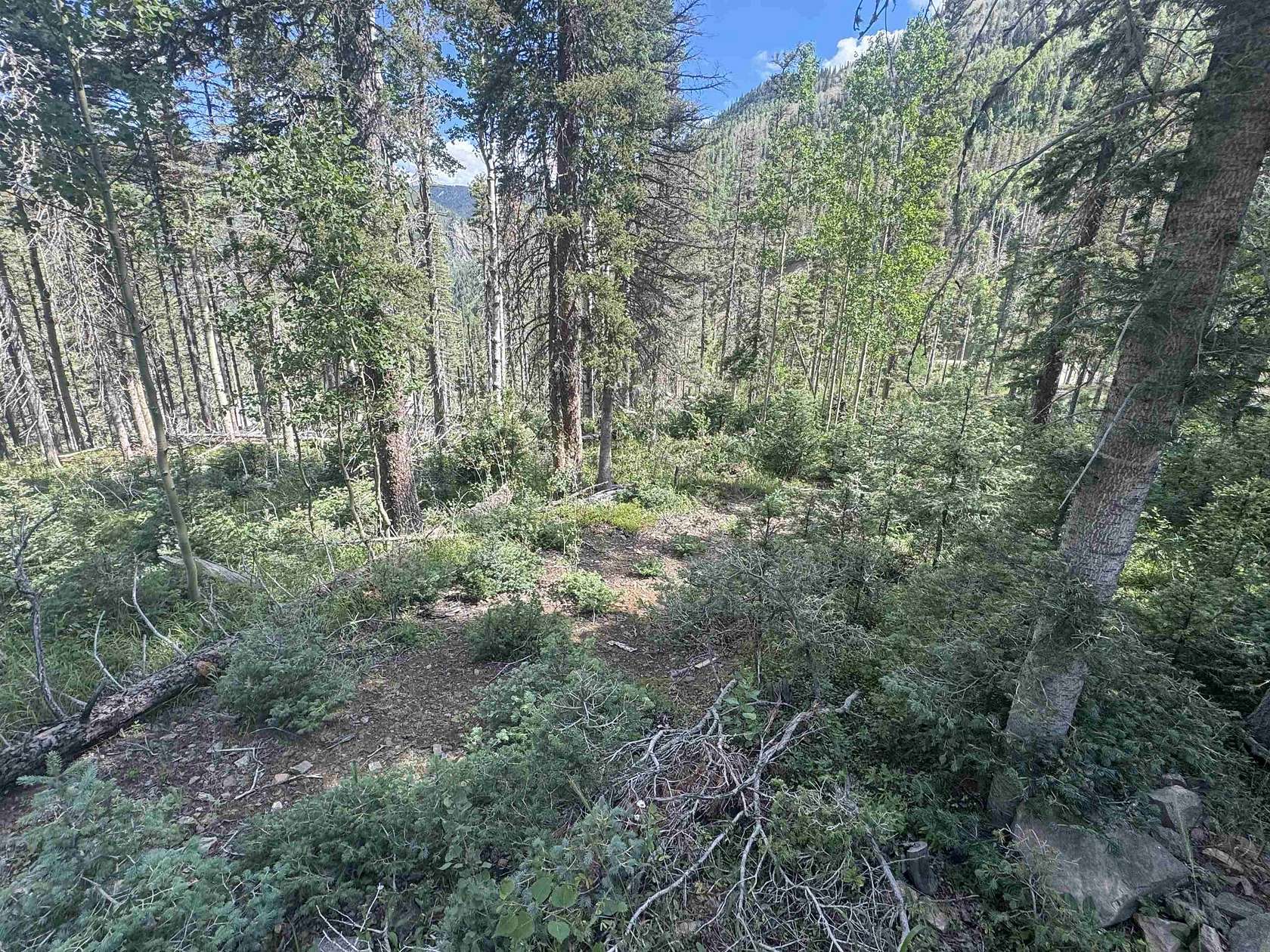 0.5 Acres of Residential Land for Sale in Taos Ski Valley, New Mexico