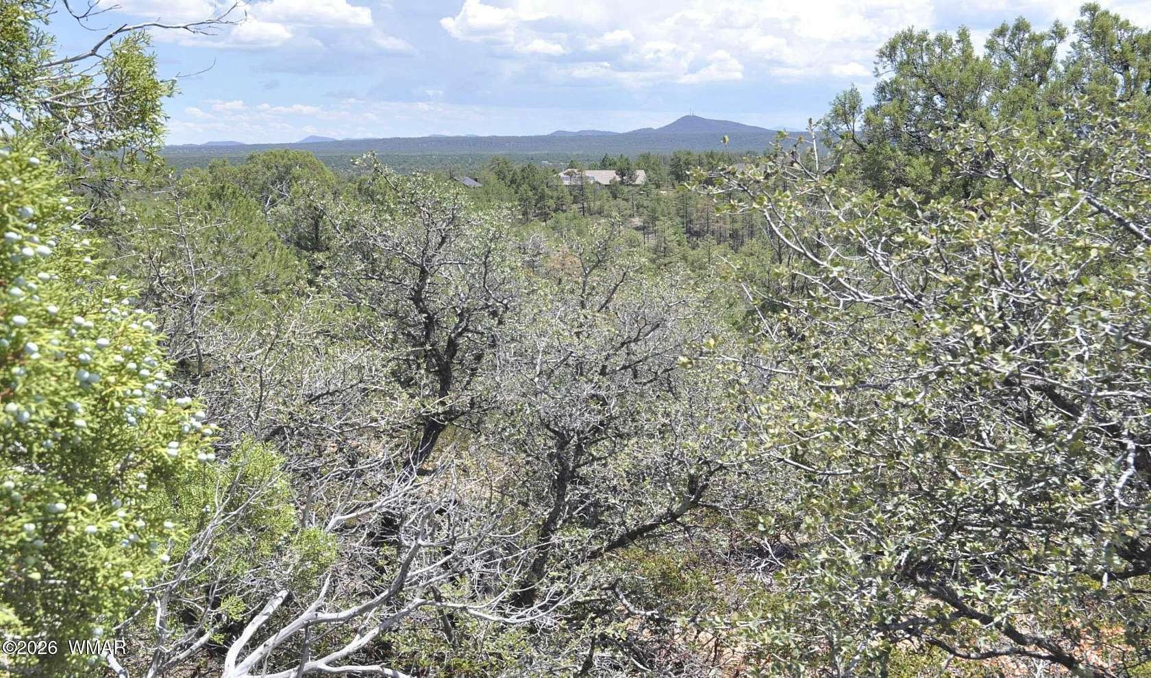 1.19 Acres of Residential Land for Sale in Show Low, Arizona