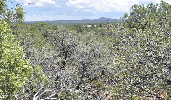 1.19 Acres of Residential Land for Sale in Show Low, Arizona