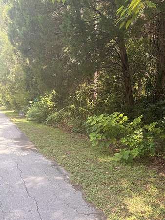 0.5 Acres of Residential Land for Sale in Otter Creek, Florida