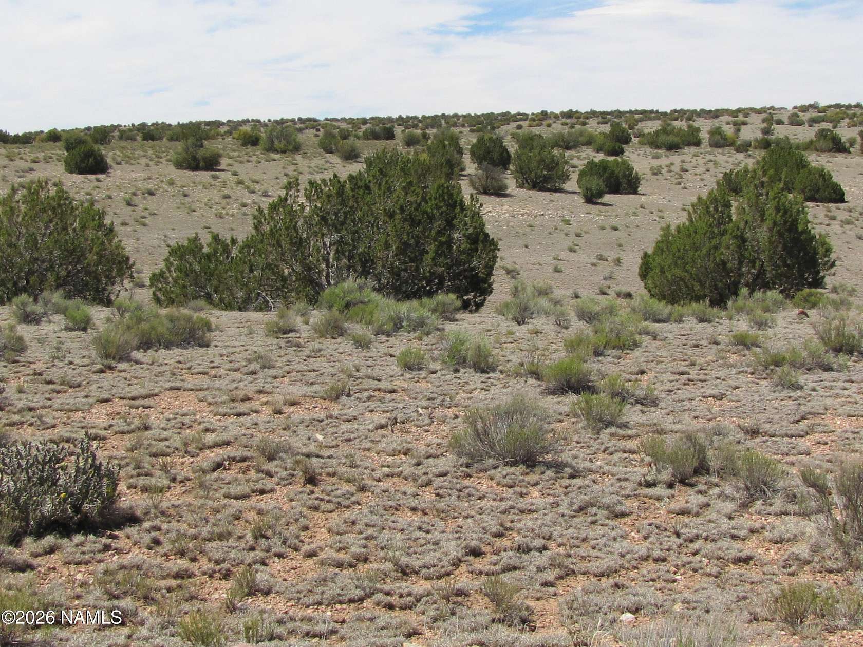 36 Acres of Recreational & Residential Land for Sale in Williams, Arizona