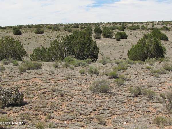 36 Acres of Recreational & Residential Land for Sale in Williams, Arizona
