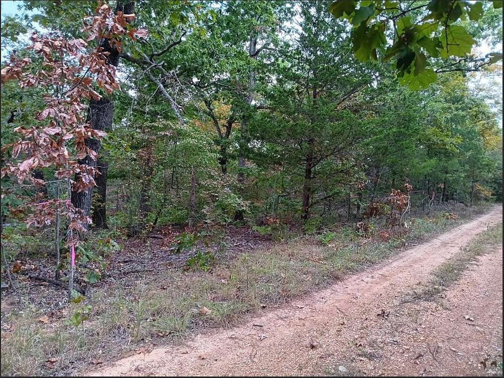 0.1 Acres of Residential Land for Sale in Henderson, Arkansas