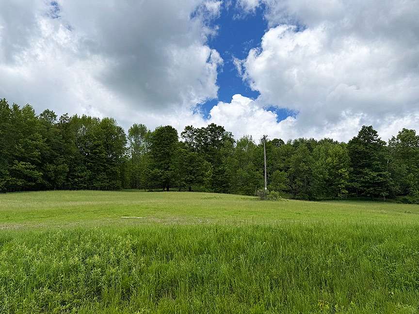 38.2 Acres of Recreational & Residential Land for Sale in Fly Creek, New York