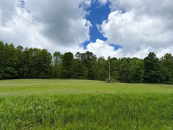 38.2 Acres of Recreational & Residential Land for Sale in Fly Creek, New York