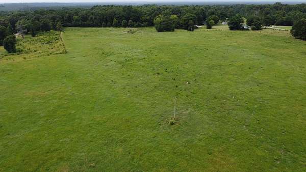 35 Acres of Land for Sale in Tyler, Alabama