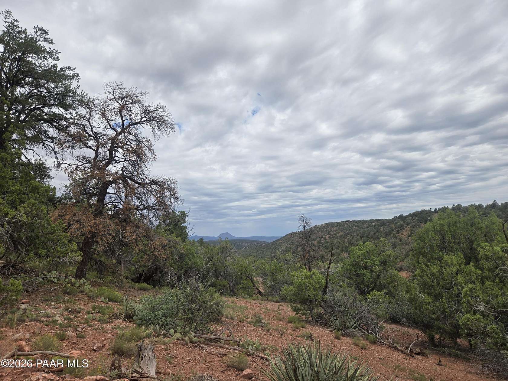 40 Acres of Recreational Land for Sale in Ash Fork, Arizona