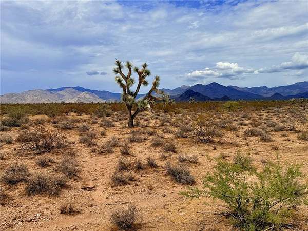 38 Acres of Land for Sale in Yucca, Arizona
