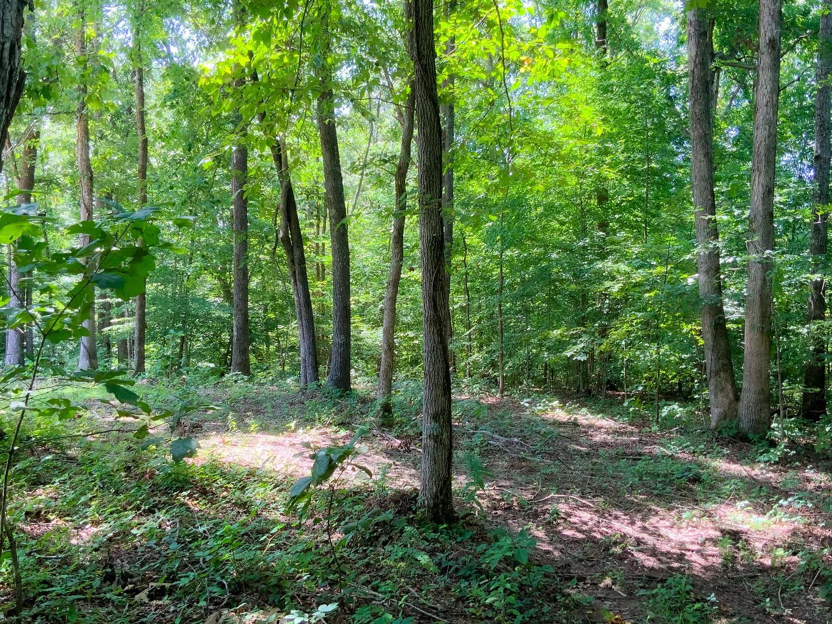 4.48 Acres of Recreational Land for Sale in Dover, Tennessee