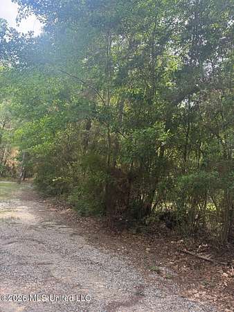 79.9 Acres of Land for Sale in Pass Christian, Mississippi