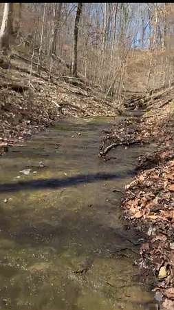 5.59 Acres of Residential Land for Sale in Ashland City, Tennessee