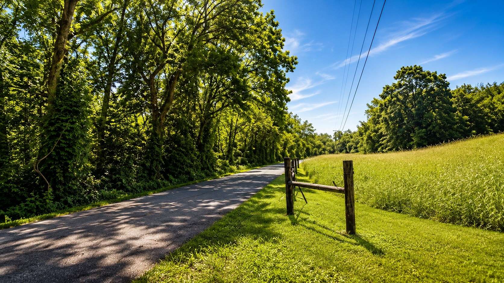 38.1 Acres of Recreational & Residential Land for Sale in Gallatin, Tennessee