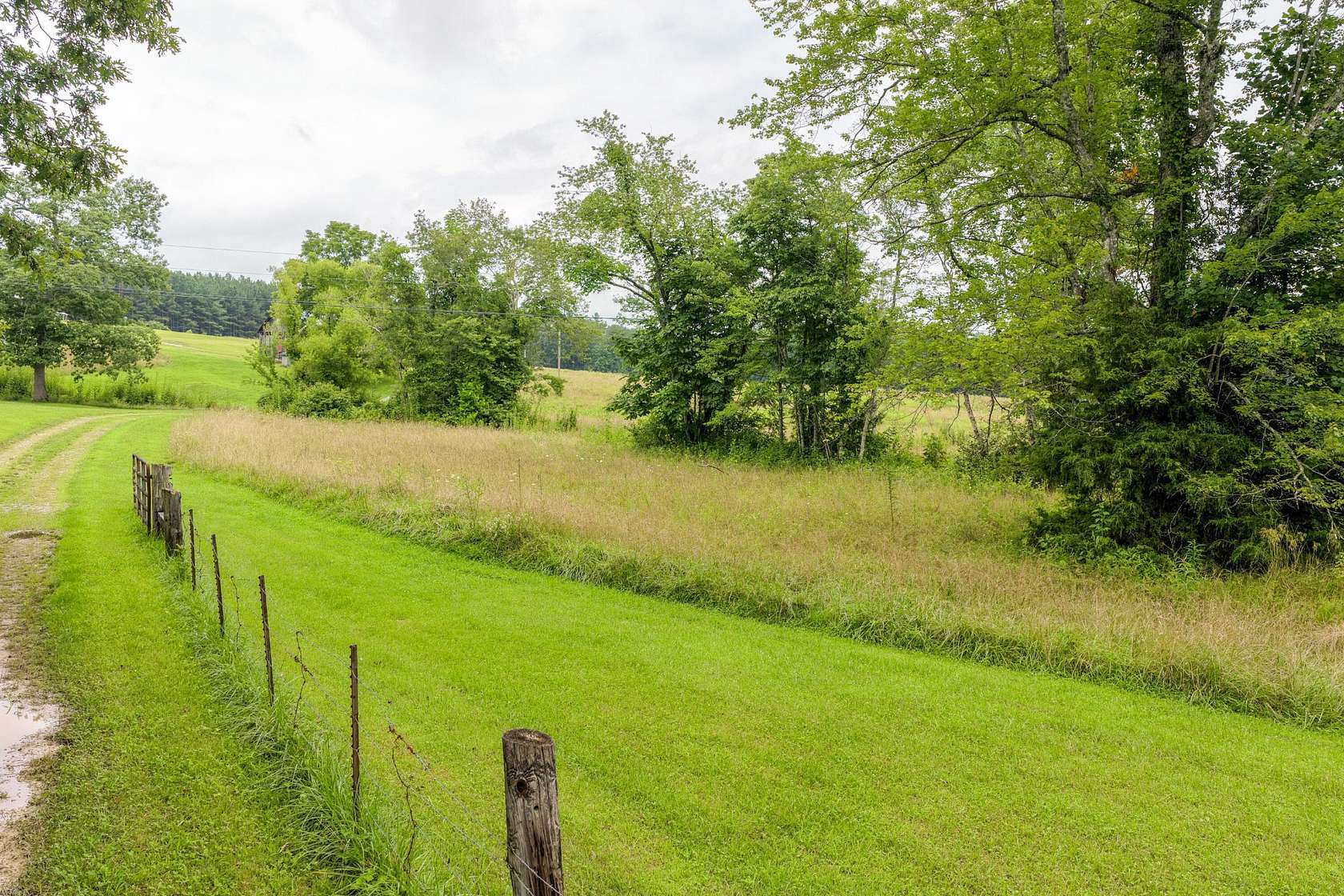 100 Acres of Land for Sale in Spring City, Tennessee
