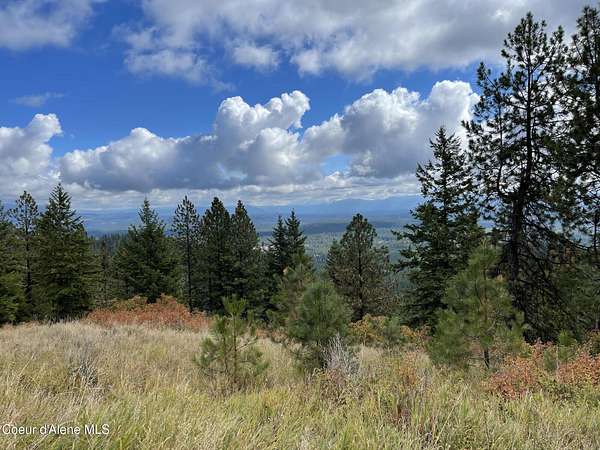 140 Acres of Land for Sale in Spirit Lake, Idaho