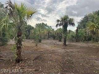 1.14 Acres of Residential Land for Sale in Naples, Florida