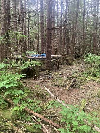 3.65 Acres of Residential Land for Sale in Tenakee Springs, Alaska