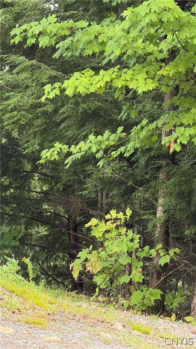 137 Acres of Recreational Land for Sale in Carthage, New York