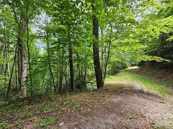 5 Acres of Land for Sale in Waynesville, North Carolina