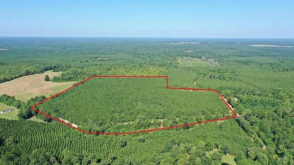 33.2 Acres of Recreational & Residential Land for Sale in Linden, Texas