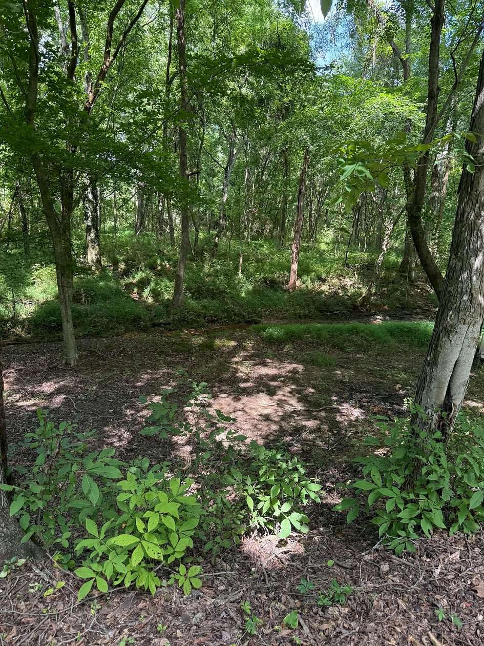 1.1 Acres of Residential Land for Sale in Rogersville, Alabama
